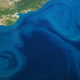 Image for article titled The surreal swirls of ocean plankton blooms, seen from space